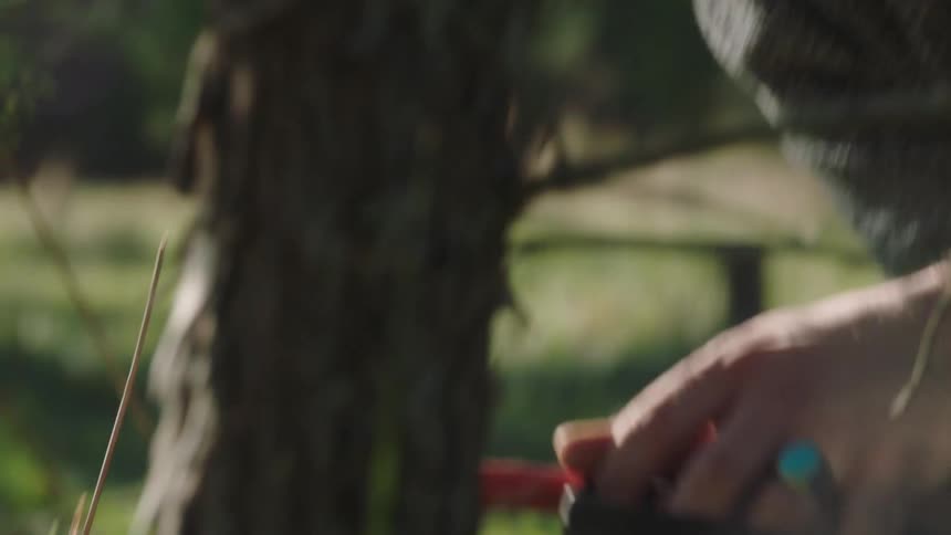 Man cutting down tree