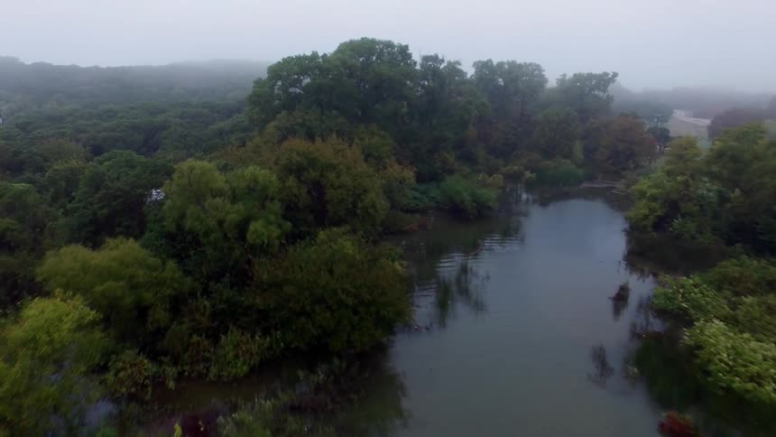 A river stretches through a dense forest