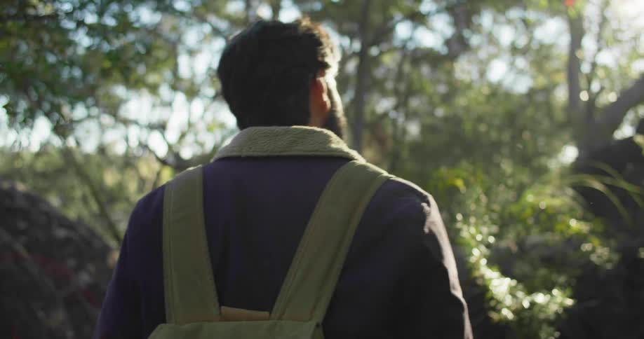 A man wearing a backpack hikes a long a forest trail on a sunny day