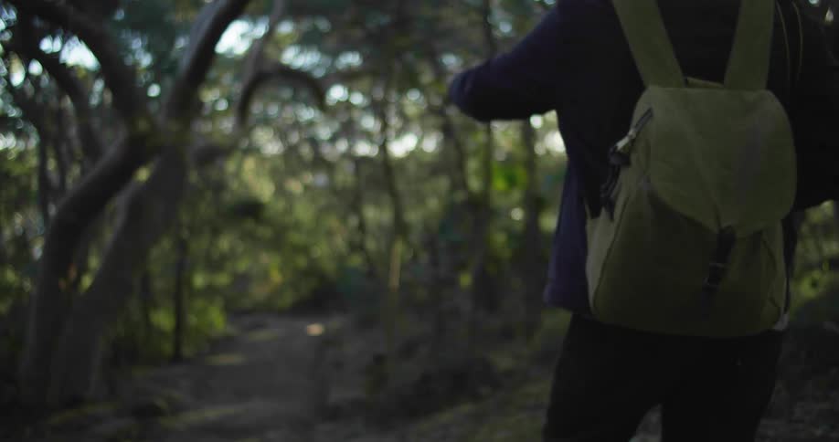 Man walking in forest