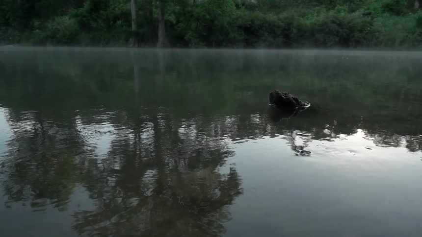 Texas Nature