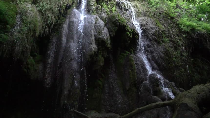A waterfall in a forest
