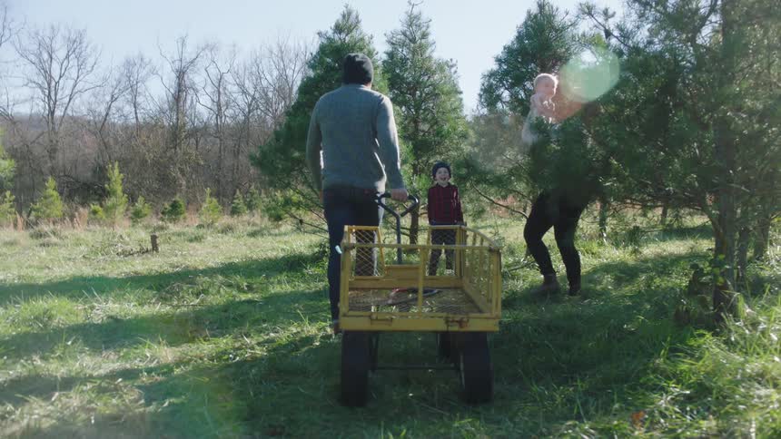 A man a woman and children in an orchard with trees with the sky and clouds in the background