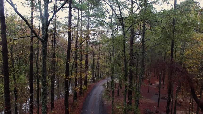 Texas Nature