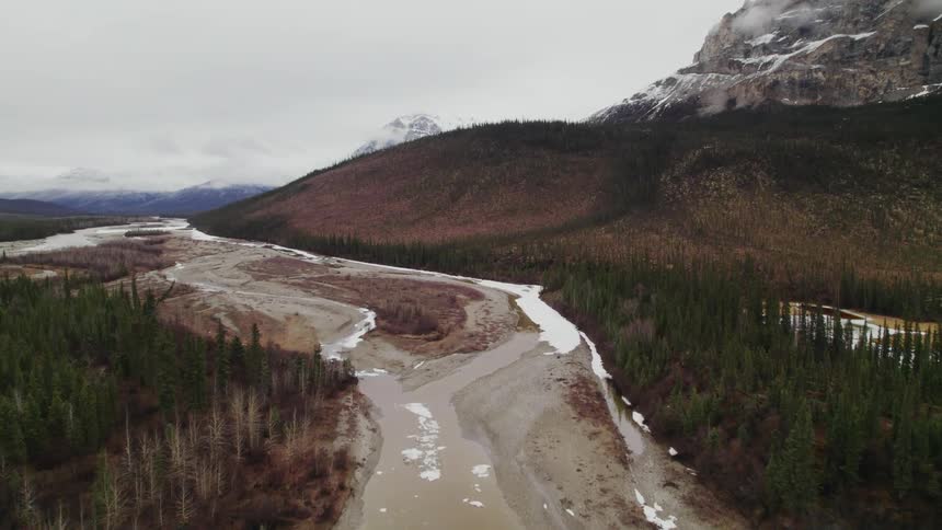 A riverbed running through an evergreen forest