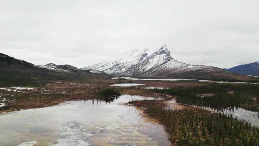 A snow capped mountain and trees are reflected in the lake surface
