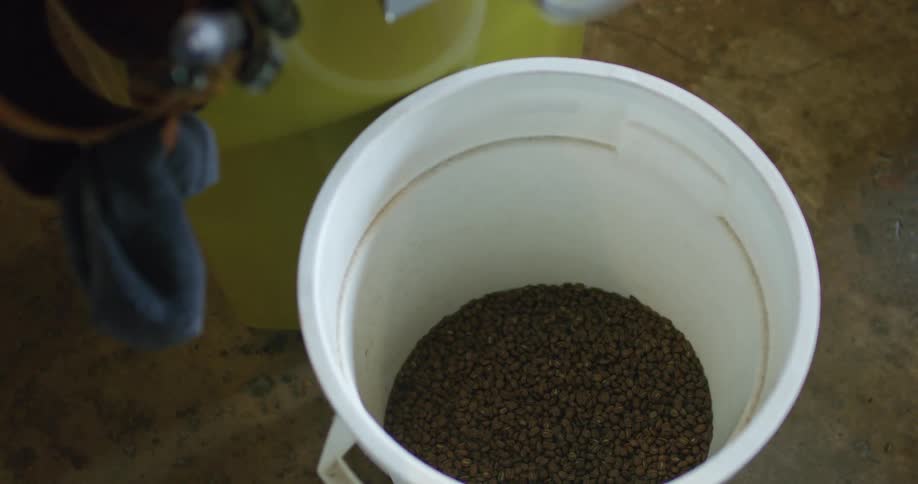 A person putting food in a bucket on a farm