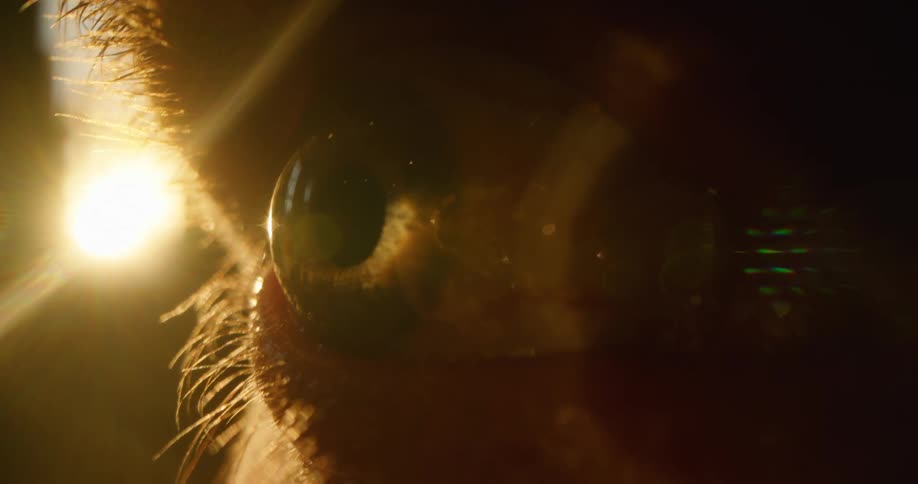 Sunset sunlight reflecting on the iris and eyelashes of a person eye