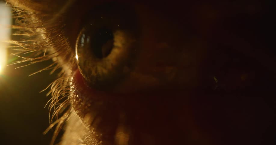 Extreme close up of the moving eye and eyelashes of a person standing in the sunlight
