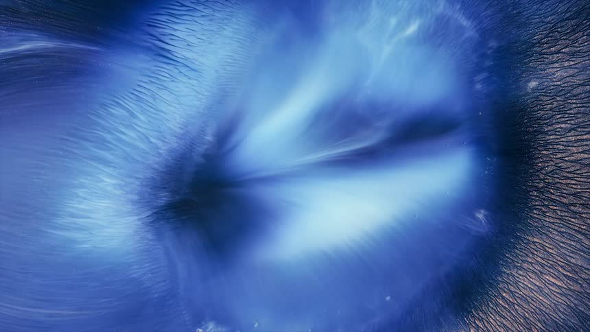 Flowing waves of shimmering blue and gold streaks of liquid ink