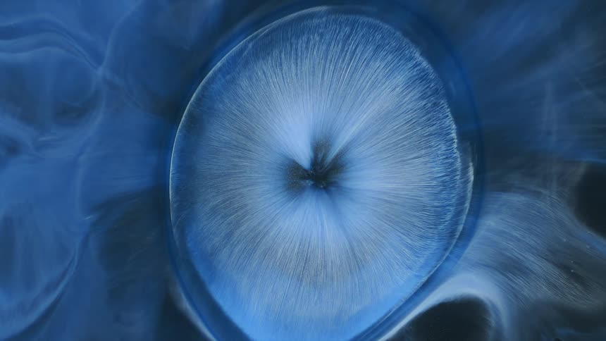 White and blue drops of paint creating a circle, expand and compress