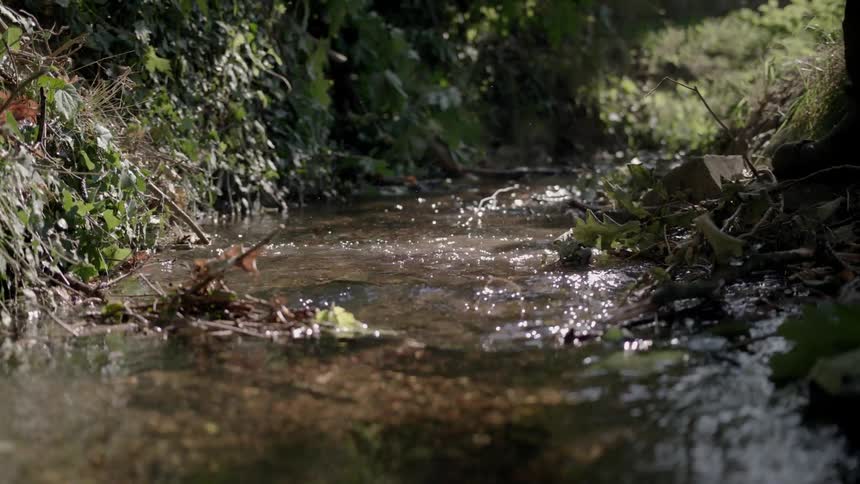 A person walks through a small stream