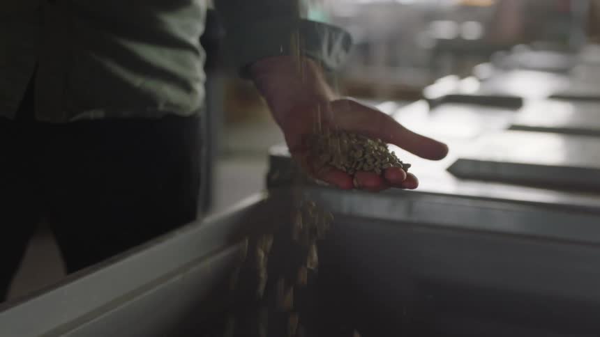 A person dropping food pellets into their hand