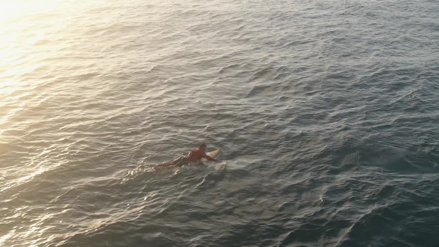 A surfer is lying on his stomach swimming with his surfboard under him