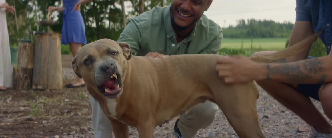 Two men petting a dog with a woman cooking with a wooden spoon in the background