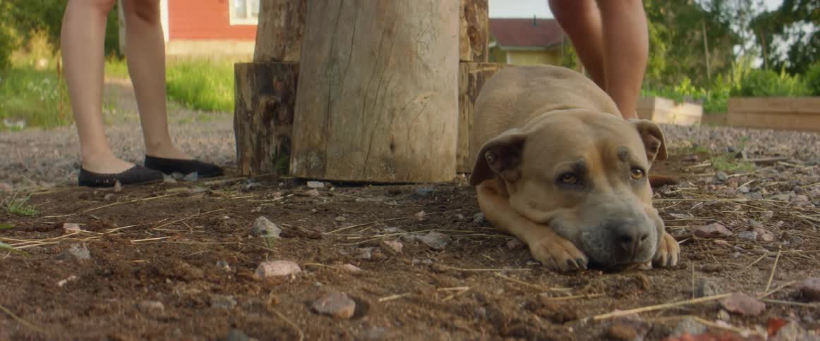 A dog lays on the ground in the door near two women