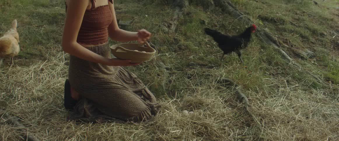 Woman kneels in straw in farm yard gathering eggs as hens move around pecking at ground