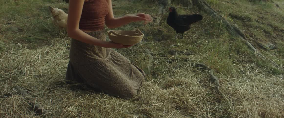 Woman kneels on the grass and picks up eggs as chickens move around next to her
