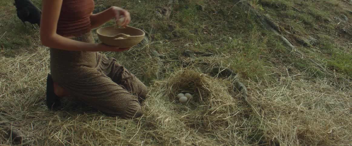 A woman picking up eggs out of a nest outdoors