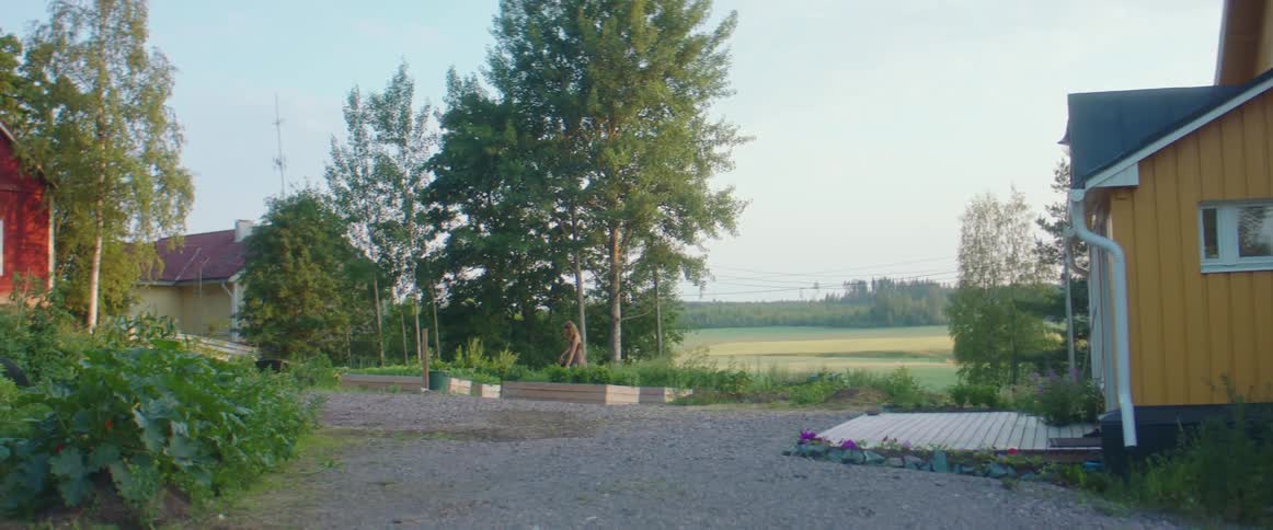 A wide shot of a piece of farmland