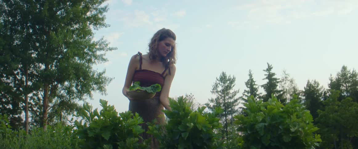 Woman picking plants