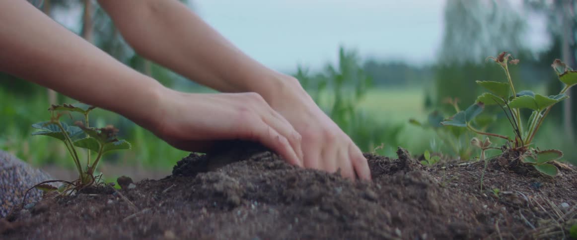 Person gardening