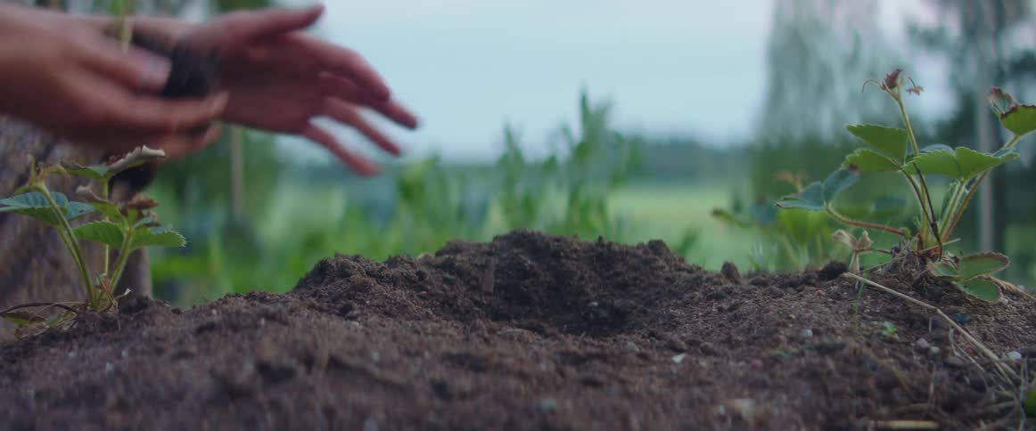 Person digs hole in dirt mound by hand before planting plant