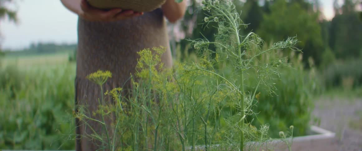 A woman is picking plants from her garden