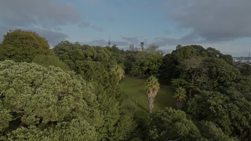 Aerial view of lake next to public park and city skyline