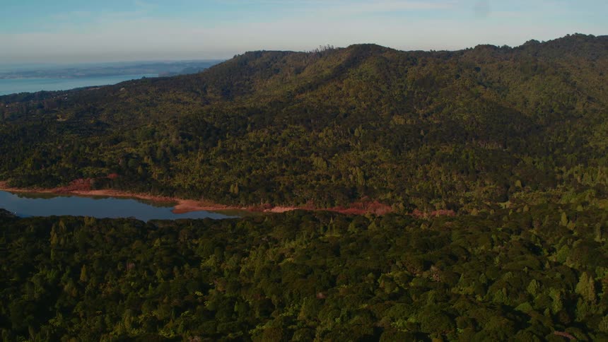 Aerial view of mountains with forest next to the sea