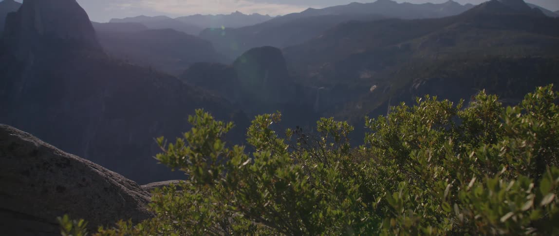 Tree with green leaves shining in the sunlight and a mountain range in the distance