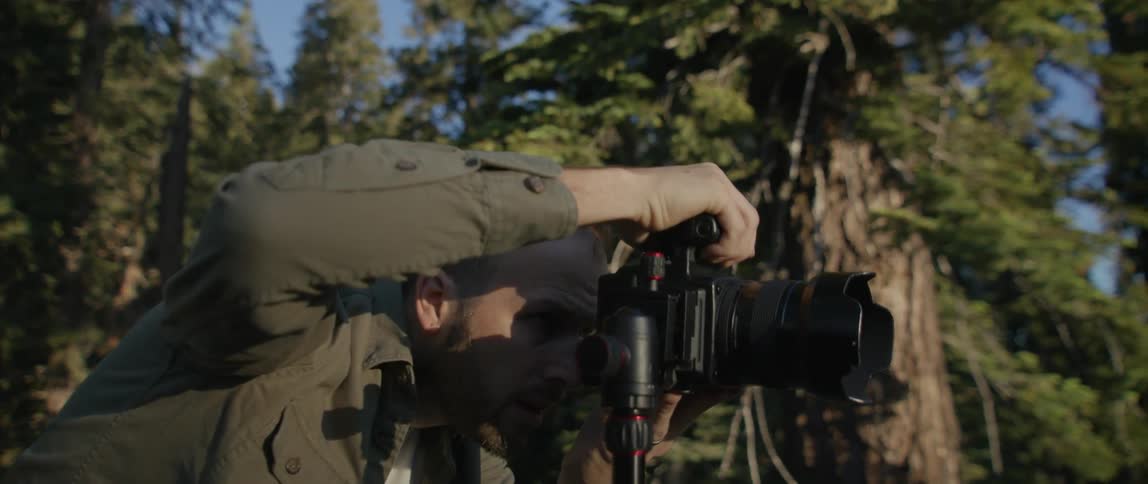 Photographer leans down to look through photography camera sitting on stand in conifer forest