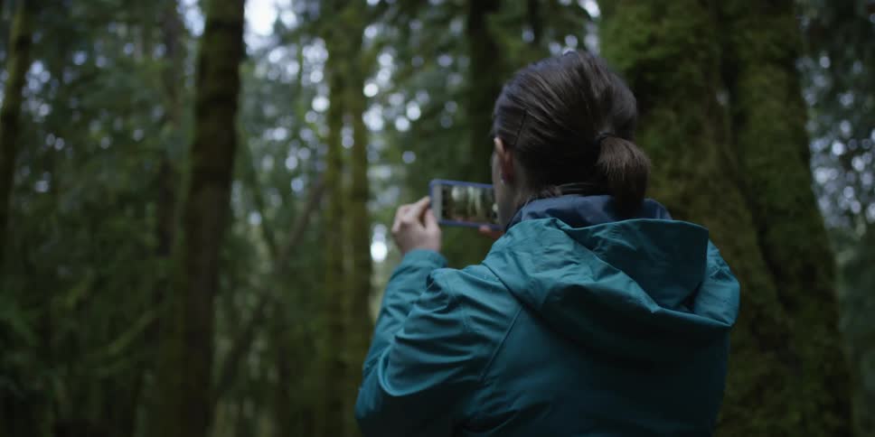 A woman takes photos of a forest with a phone