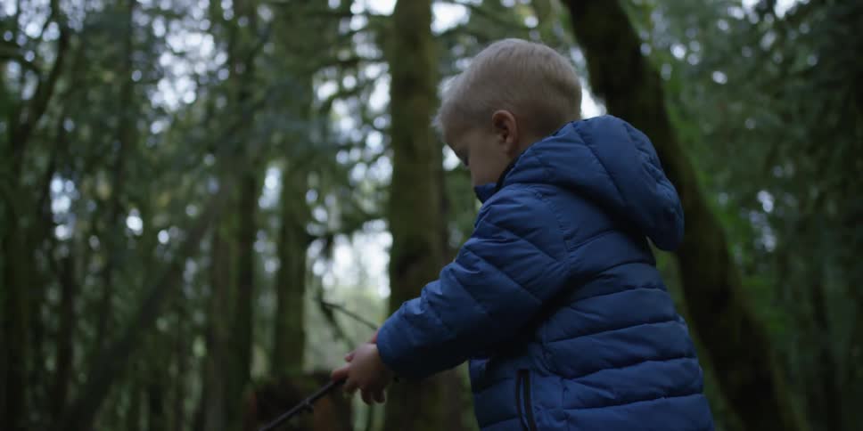 A boy lifts a branch from the ground