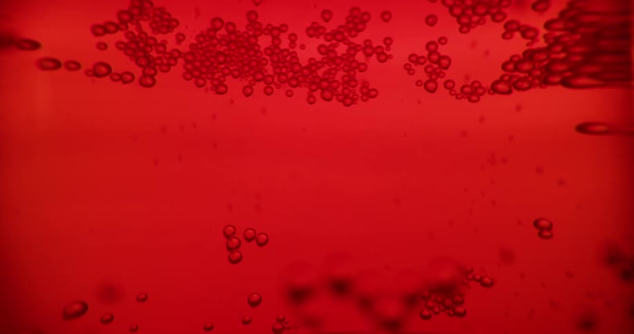 A view of bubbles floating in a red fluid