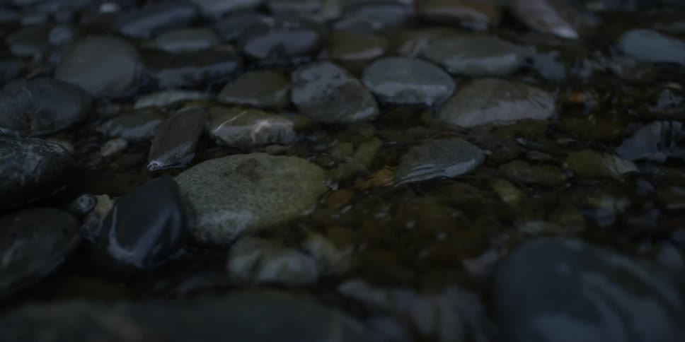 Water flows over pebbles in a stream