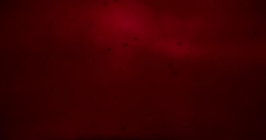 Blood creating bubbles