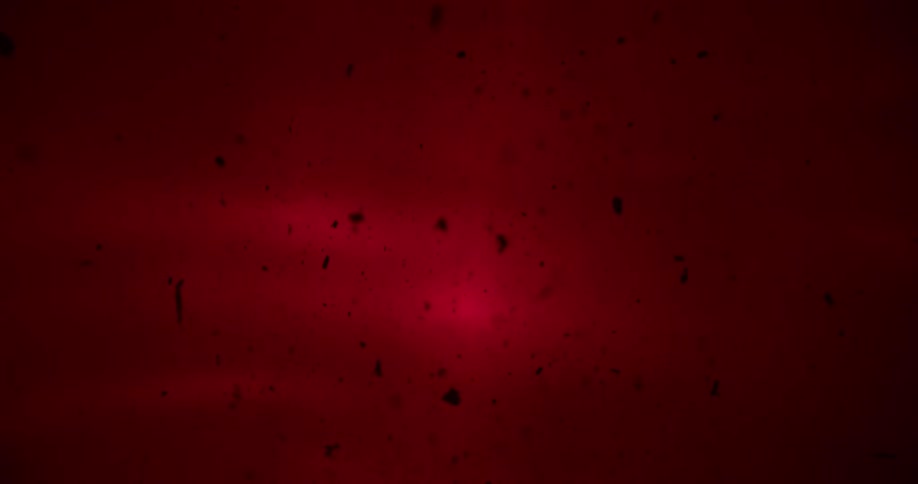 Small particles float up and down in liquid which glows red