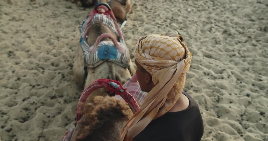 The wind ruffles a camels mane and the headdress of an arab man resting on the sand