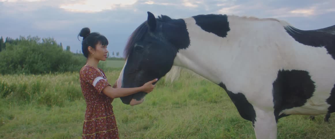 A woman caressing a horse