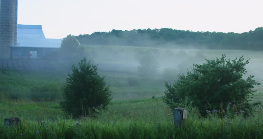 Rural building in grassland