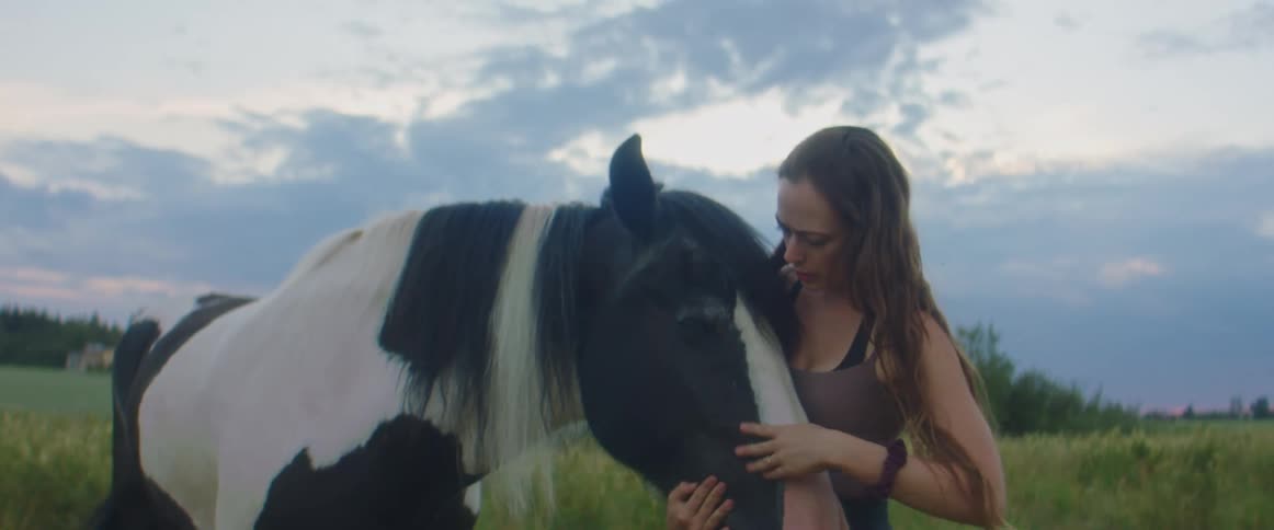 Young woman caressing and kissing a horse on a grass field at sunset
