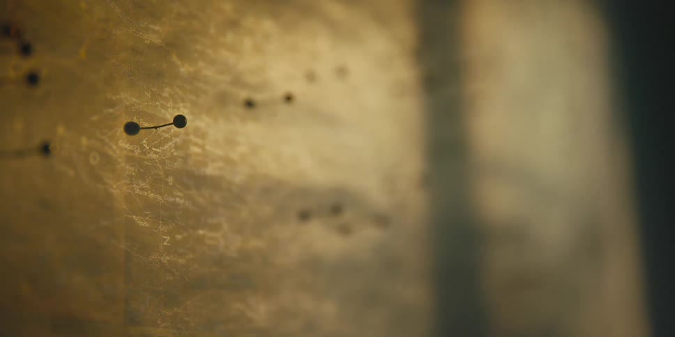 A view of a person putting a pin in a map