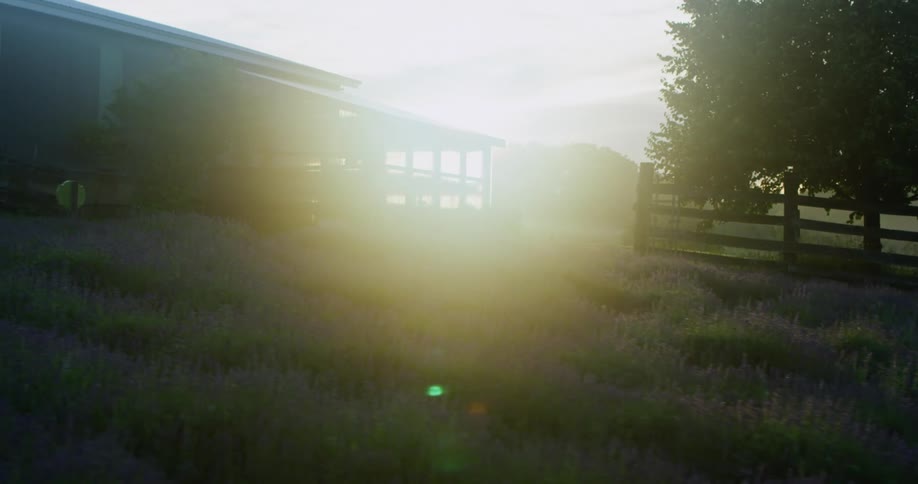 Rural building with trees