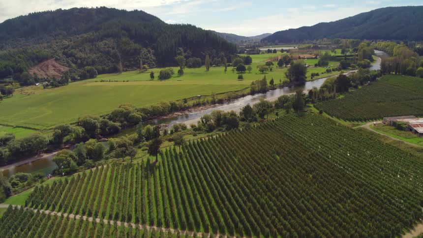 Grove on a farm sits next to a river as mountains sit nearby