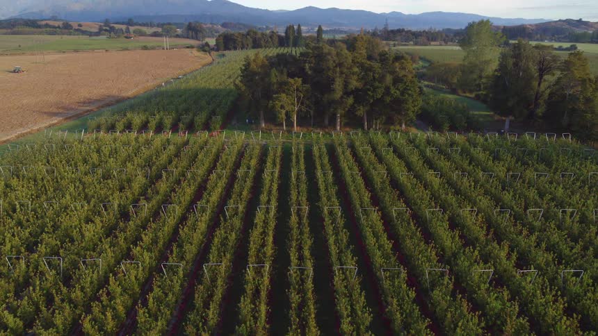 Aerial shot of a small farm