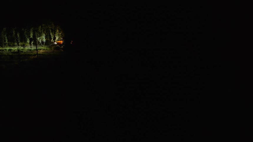 A tractor is moving trees through a forest at night