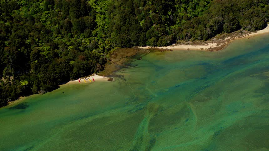 Very still water abuts a forested area on the coast
