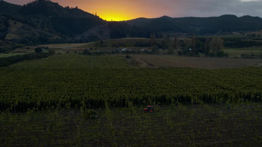 Farmland with the sun rising over mountains in the distance