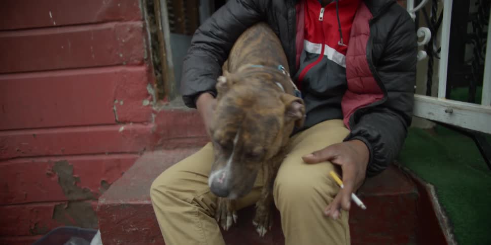 A man pets a dog while sitting on front steps